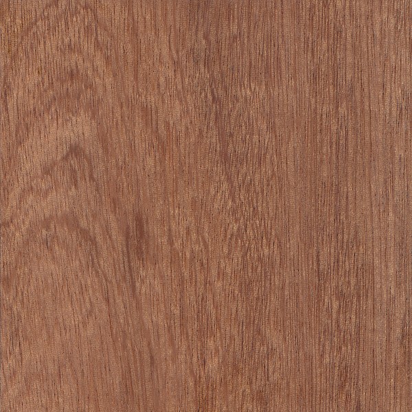 Sapele